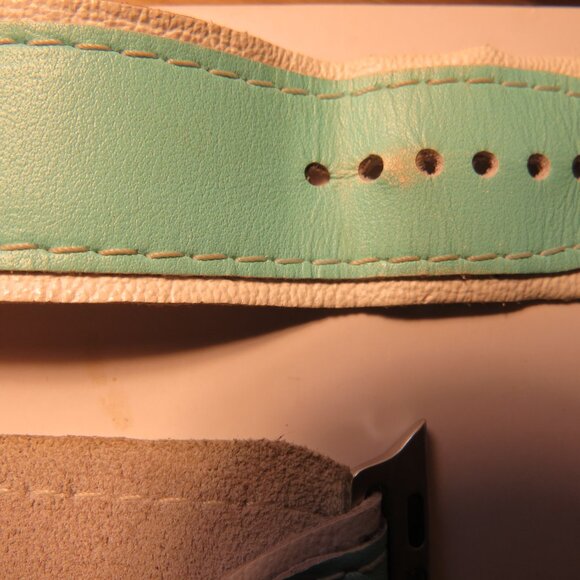 Luxe Audrey Blue Apple Watchband main image 5
